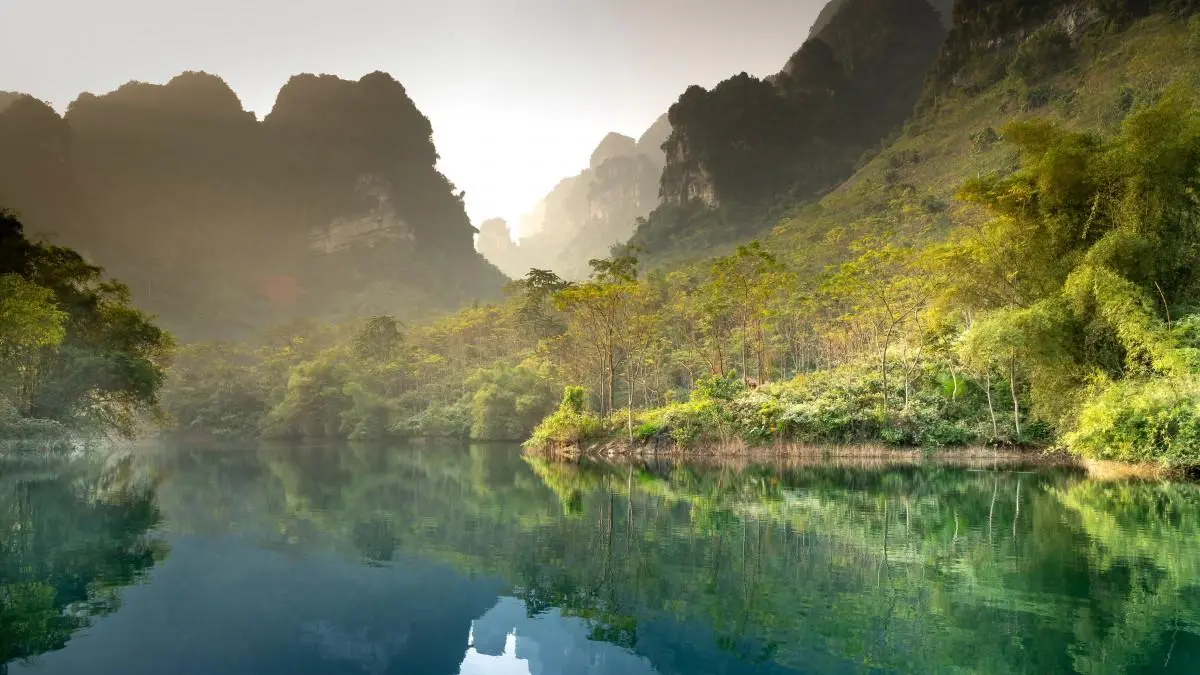 自动化高端高端